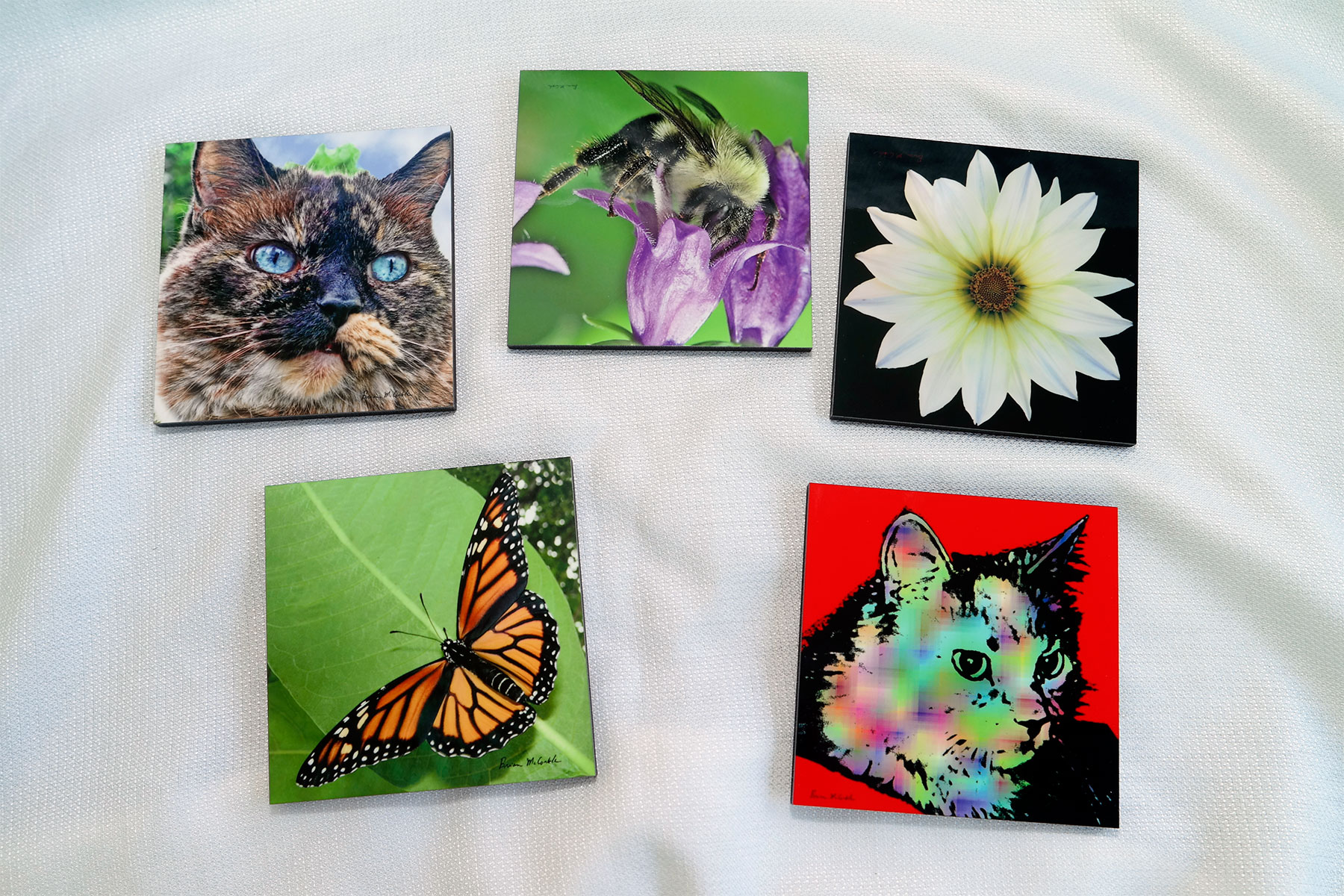 (image for) Hardboard Tiles or Coasters